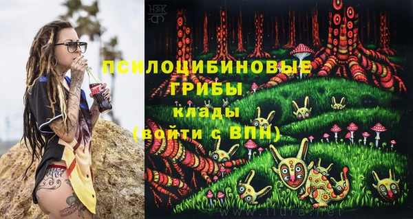 гидропоника Заводоуковск