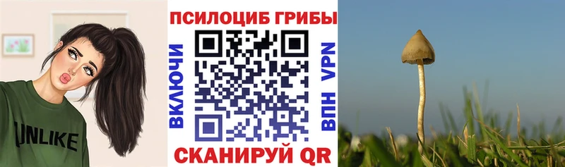 Псилоцибиновые грибы GOLDEN TEACHER  OMG рабочий сайт  Кызыл 